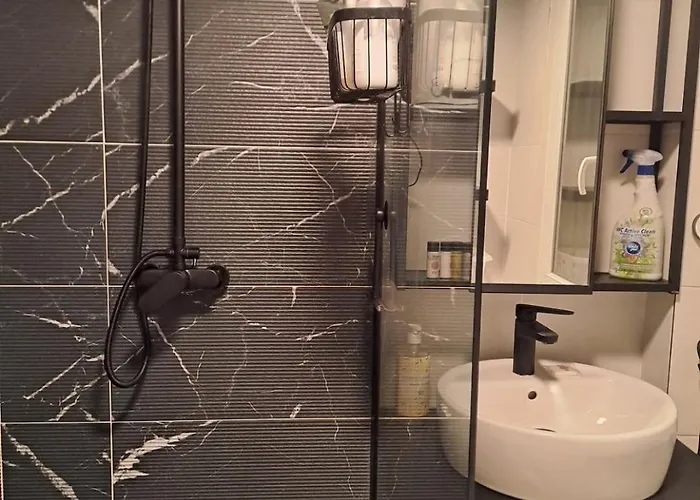 T4 Proche Tram Et Bus 4eme Etage ディジョン